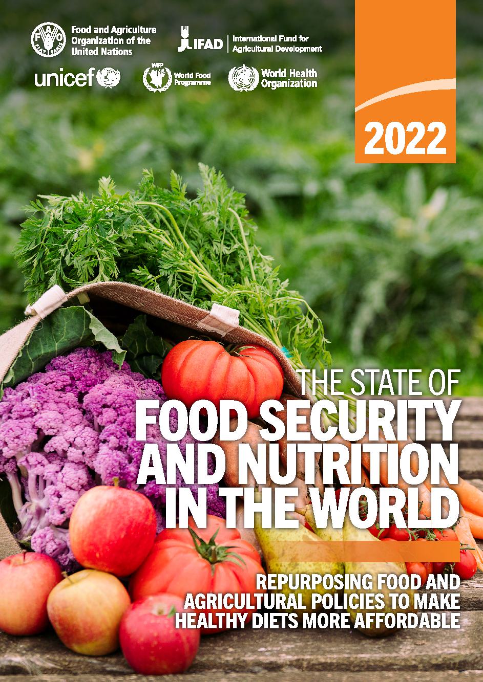 The State of Food Security and Nutrition in the World.  Repurposing food and agricultural policies to make healthy diets more affordable