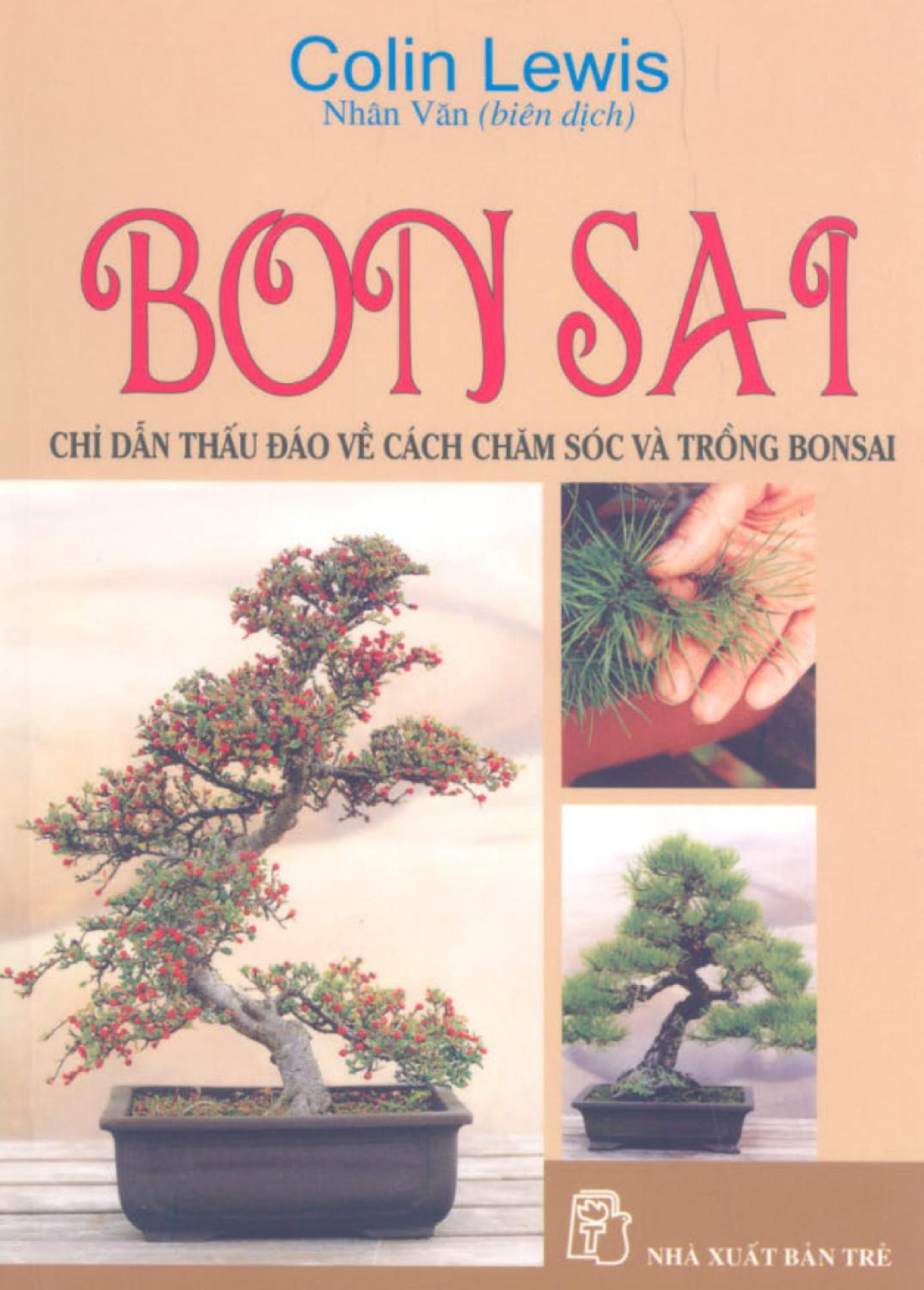 Hướng dẫn cơ bản về Bonsai 