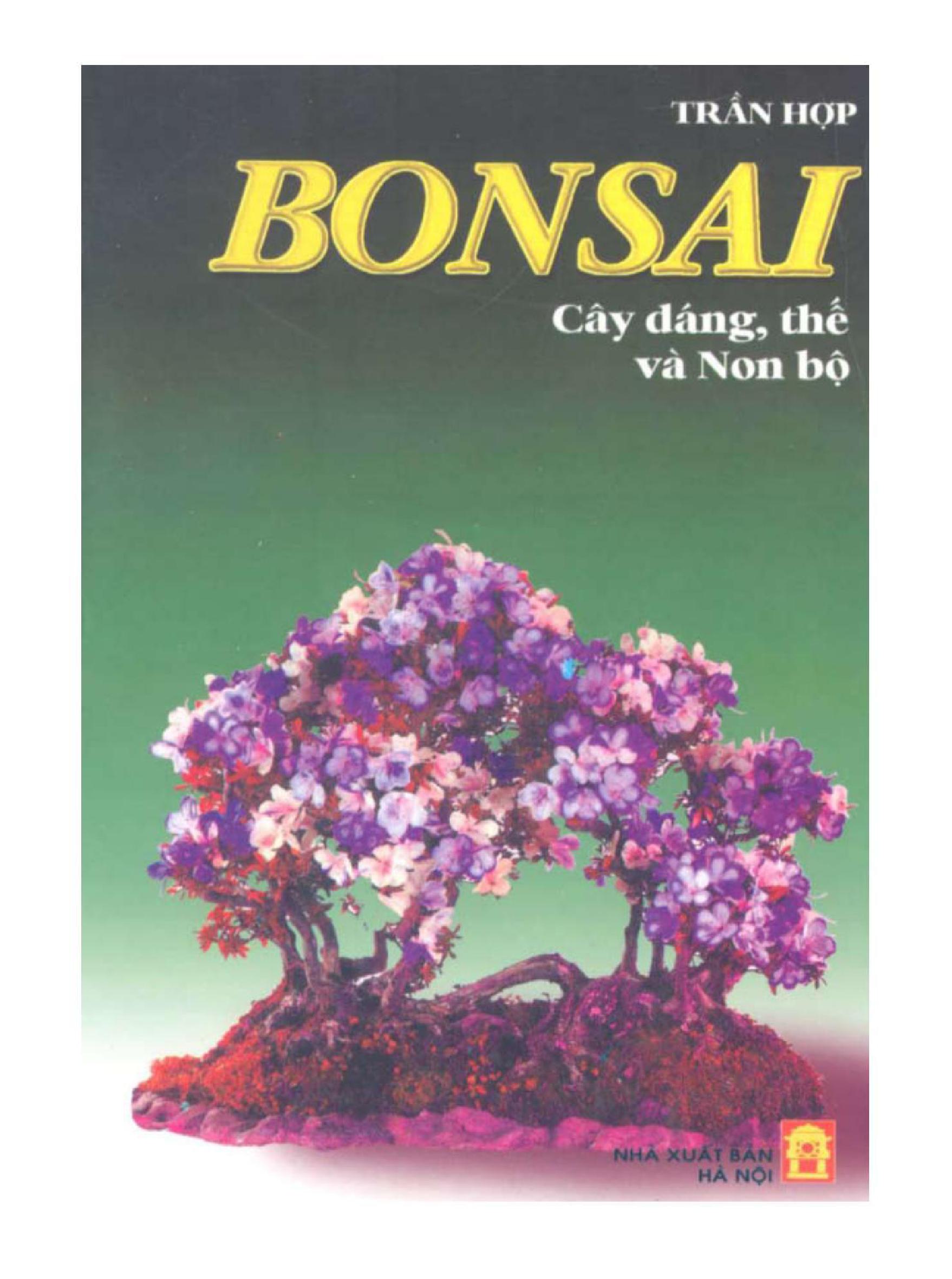 Bonsai cây dáng, thế và non bộ